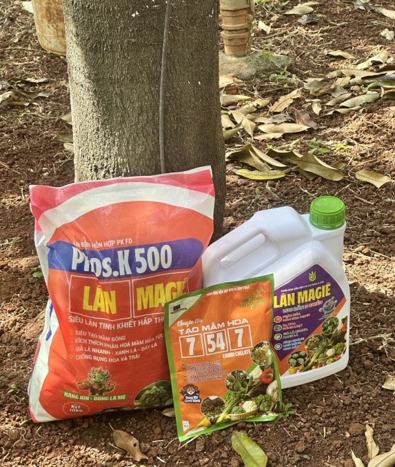 THÀNH TÍCH NỔI BẬT