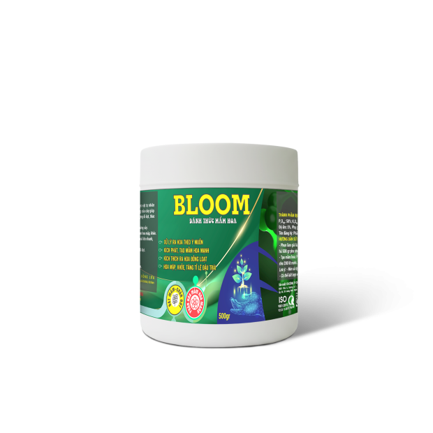 BLOOM  - 500GR SẦU RIÊNG