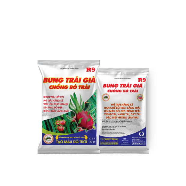 BUNG TRÁI GIÀ, CHỐNG BÓ TRÁI -30GR 
