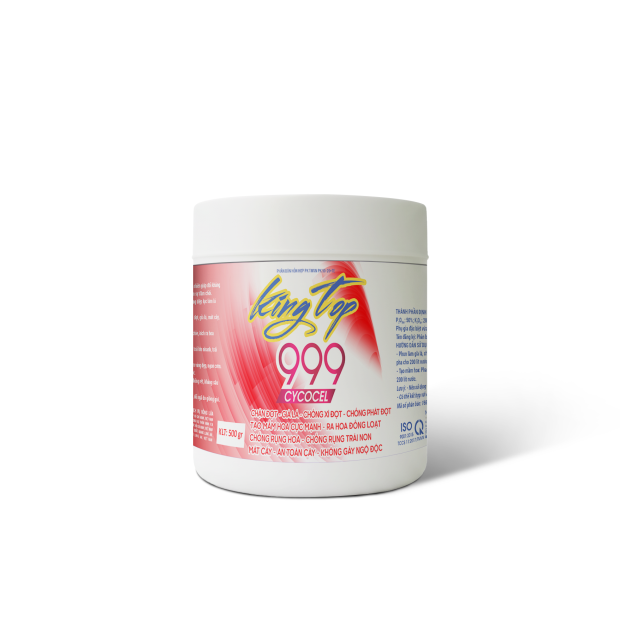 KING TOP 999 - 500GR SẦU RIÊNG