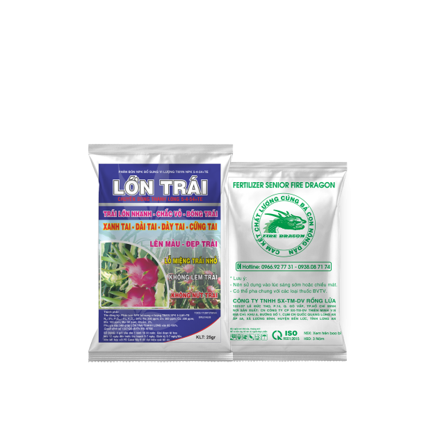 LỚN TRÁI – 25GR