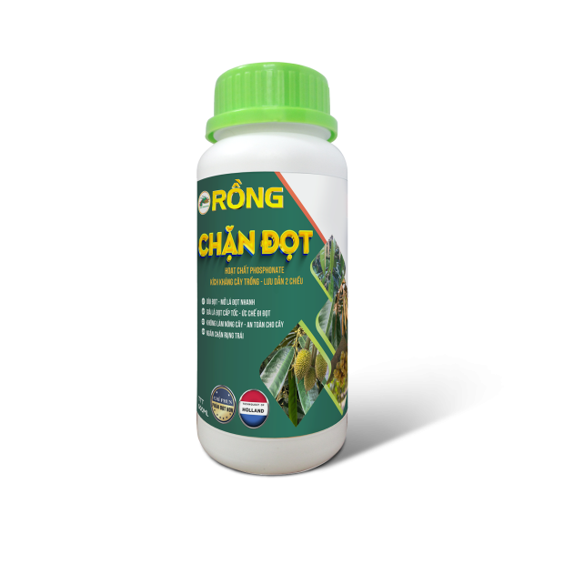 RỒNG CHẶN ĐỌT – 500ml