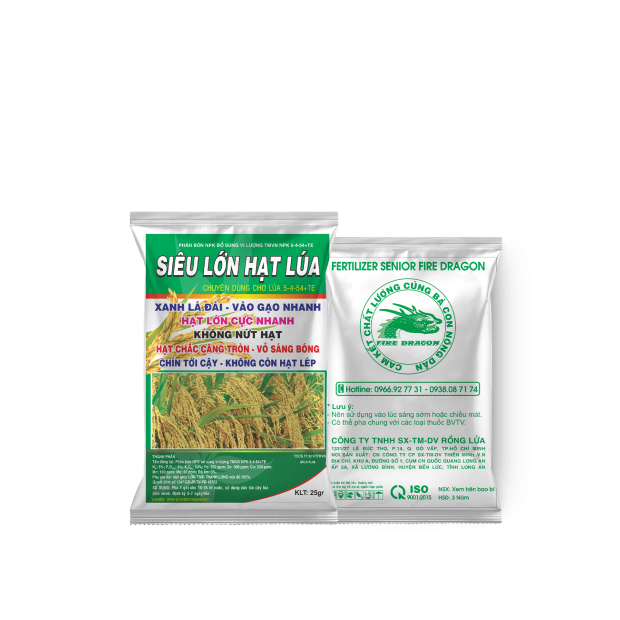 SIÊU LỚN HẠT LÚA (25gr)