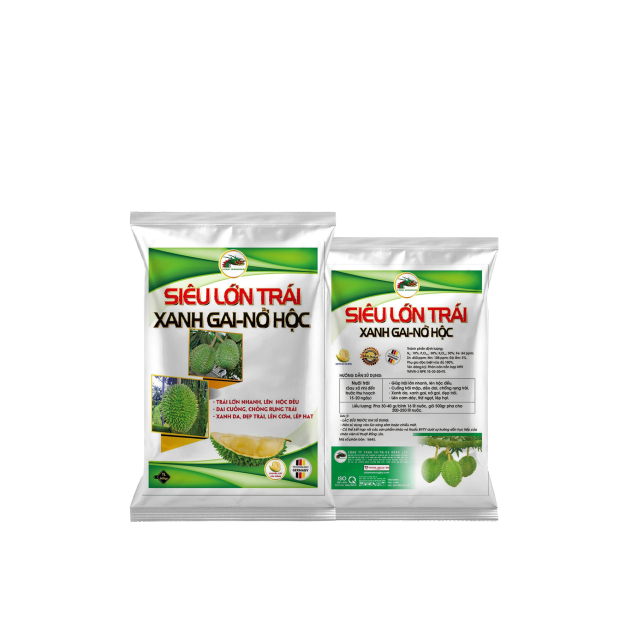 SIÊU LỚN TRÁI XANH GAI NỞ HỘC – 500GR