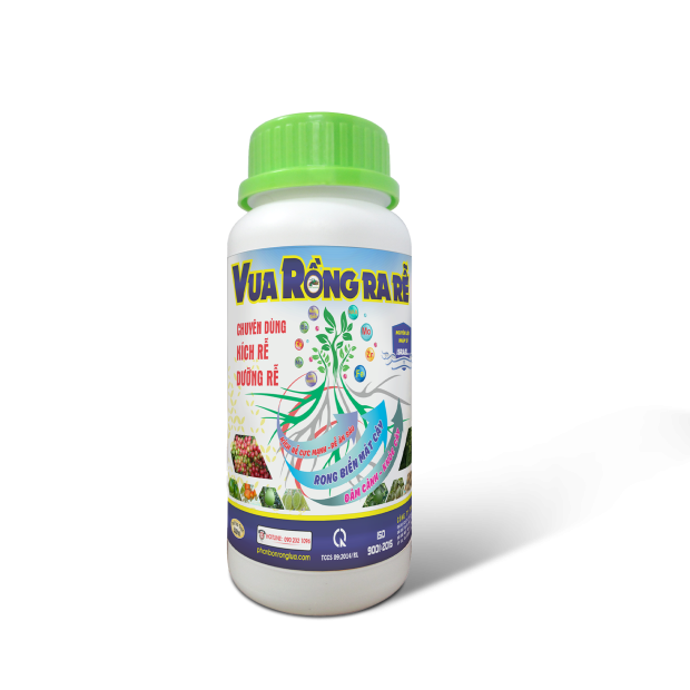 VUA RỒNG RA RỄ - 500ML